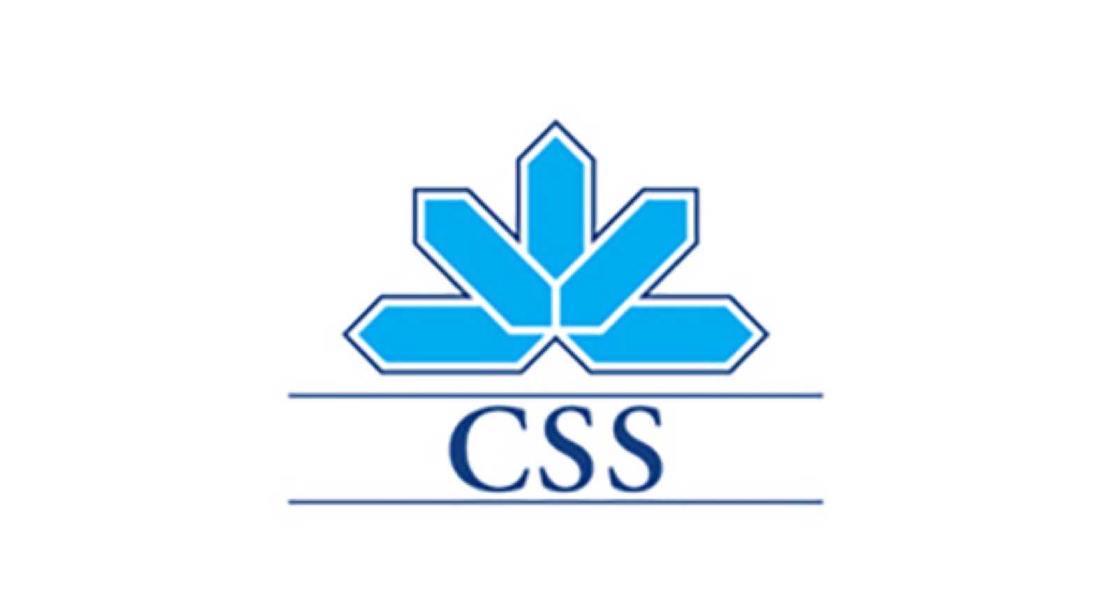 CSS